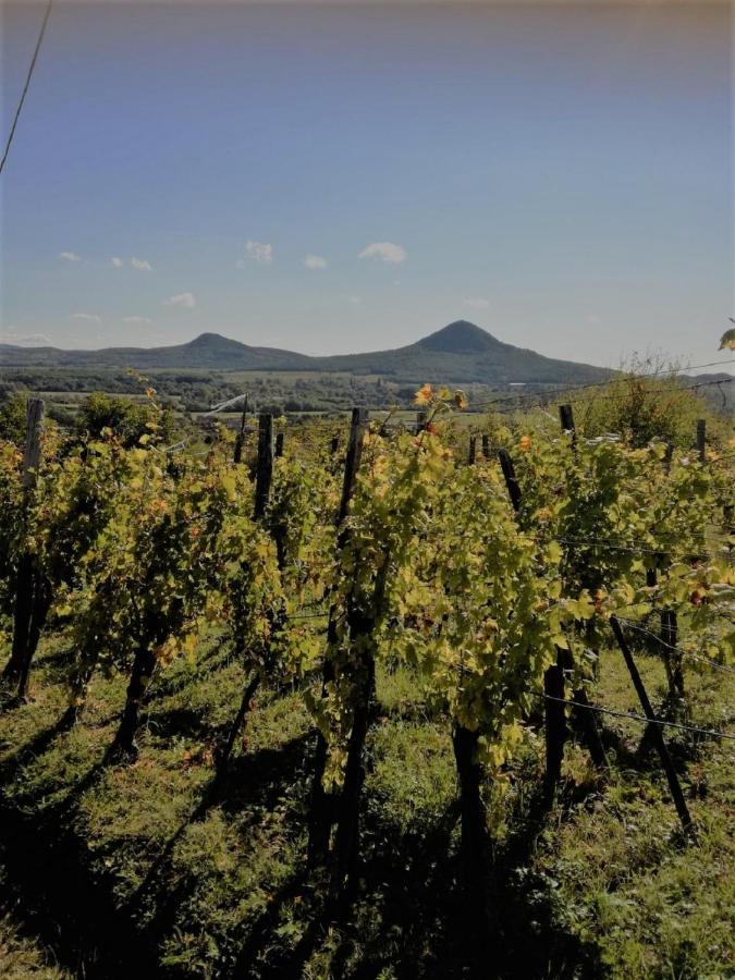 Villa Ágnes almái Ágnes apples Kisapati Exterior foto